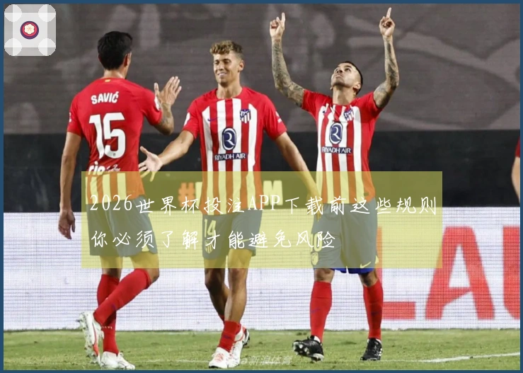 2026世界杯投注APP下载前这些规则你必须了解才能避免风险